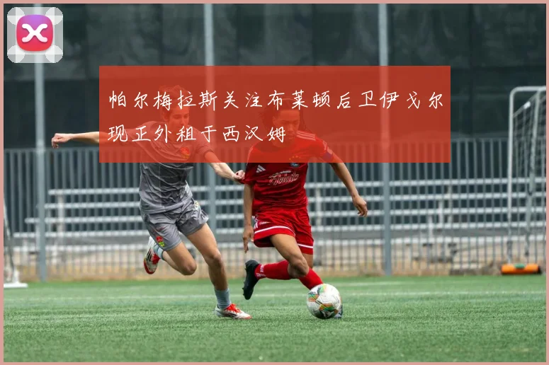 帕尔梅拉斯关注布莱顿后卫伊戈尔现正外租于西汉姆