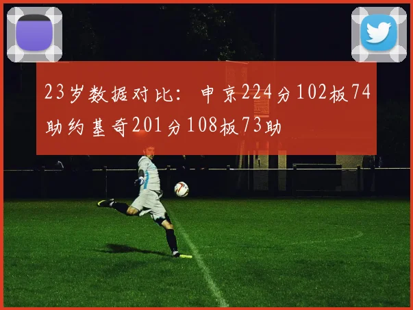 23岁数据对比：申京224分102板74助约基奇201分108板73助