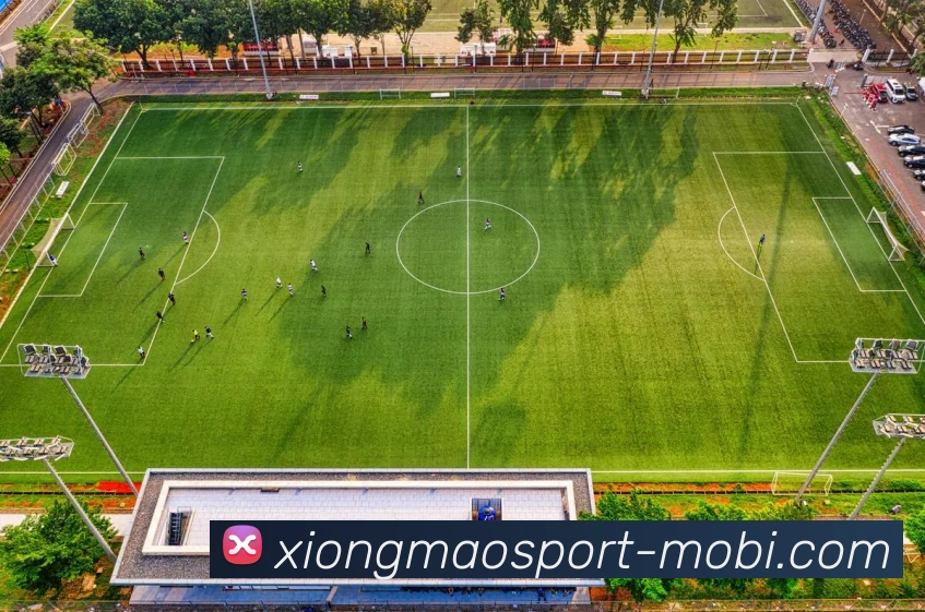 熊猫体育平台生态图